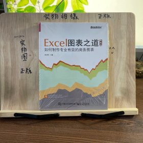 Excel图表之道 如何制作专业有效的商务图表（典藏版）