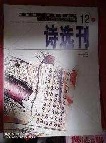 诗选刊  2002 12 中国诗歌年代大展特别专号