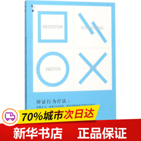 辩证行为疗法：掌握正念、改善人际效能、调节情绪和承受痛苦的技巧