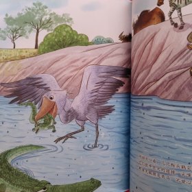 儿童时代图画书:野生动物的乐园