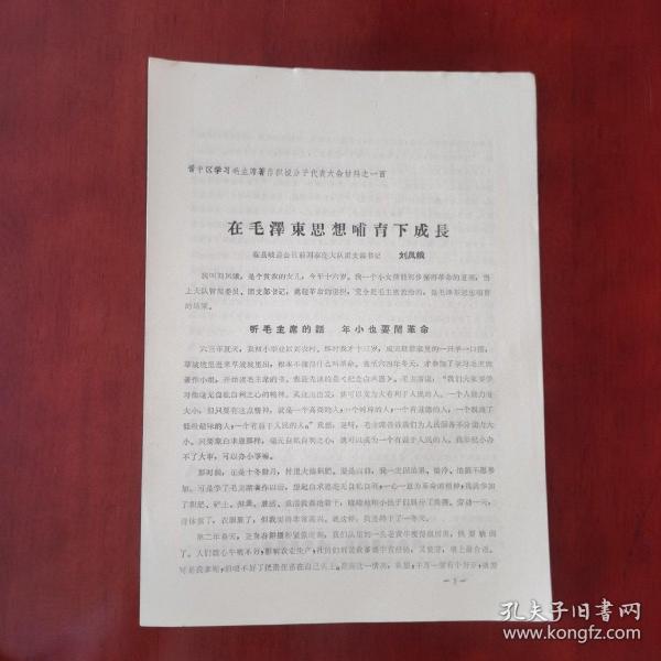 《晋中区学习毛主席著作积极分子代表大会材料之一百：在毛主席思想哺育下成长》临县岐道公社前刘家庄大队团支部书记/刘凤娥