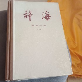 辞海 语词分册 上