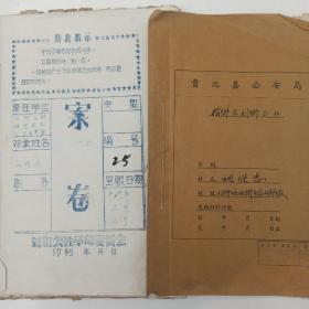 现行*革命 个人档案 1965年-1969年  91页  材料综合登记表 四类分子登记表 摘帽子批复  案件审理登记表 调查报告 个人交代坦白材料 揭发检举材料 证明材料 自传