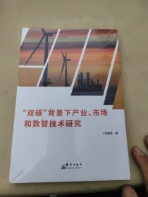 雙碳背景下產(chǎn)業(yè)市場和數(shù)智技術(shù)研究