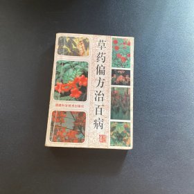 草药偏方治百病