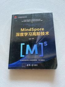 MindSpore深度学习高阶技术