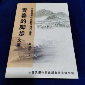 青春的脚步（文集） 中国知青作家杯优秀作品选