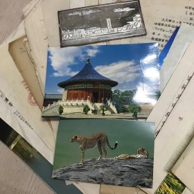 L886 【杂项】十大元帅像章、手稿、个人简历、工牌等，详见图示