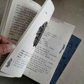 中国古文字导读：殷墟甲骨文，甲骨文书法字典两册合售50元书页里有划线看图下单，