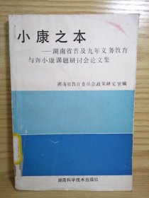 小康之本 湖南省普及九年义务教育与奔小康课题研讨会论文集