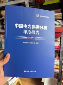 中国电力供需分析年度报告（2023）