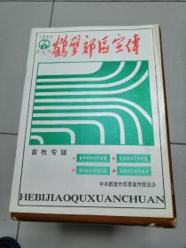 鹤壁郊区宣传，1994年创刊号