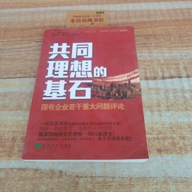 共同理想的基石：国有企业若干重大问题评论K1036