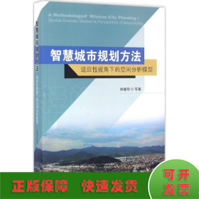 智慧城市规划方法：适应性视角下的空间分析模型