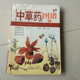 中草药图谱4