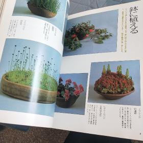 山野草药  创刊号  大量彩页介绍山中草药   日文版