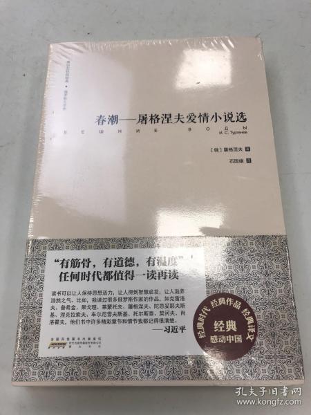 难以忘怀的经典·俄罗斯文学卷：春潮——屠格涅夫爱情小说选