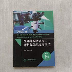 牙体牙髓病诊疗中牙科显微镜操作图谱