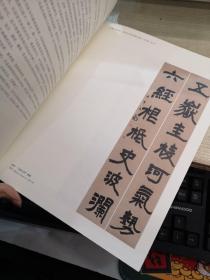 中国艺术研究院中青年艺术家系列展作品集：肖文飞 轻与重（肖文飞 书法 作品集）