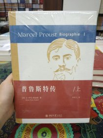 普鲁斯特传（上下） 《追忆似水年华》的创作史 普鲁斯特的心灵史成长史