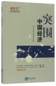 突围(中国经济)/亚布力企业思想家系列丛书