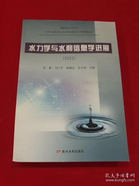 水力学与水利信息学进展（2022）