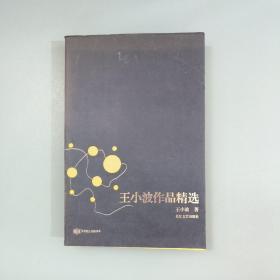 王小波作品精选：跨世纪文丛精华本