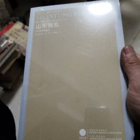 山东叛乱：1774年王伦起义