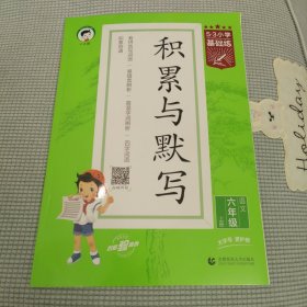 53小学基础练积累与默写 语文