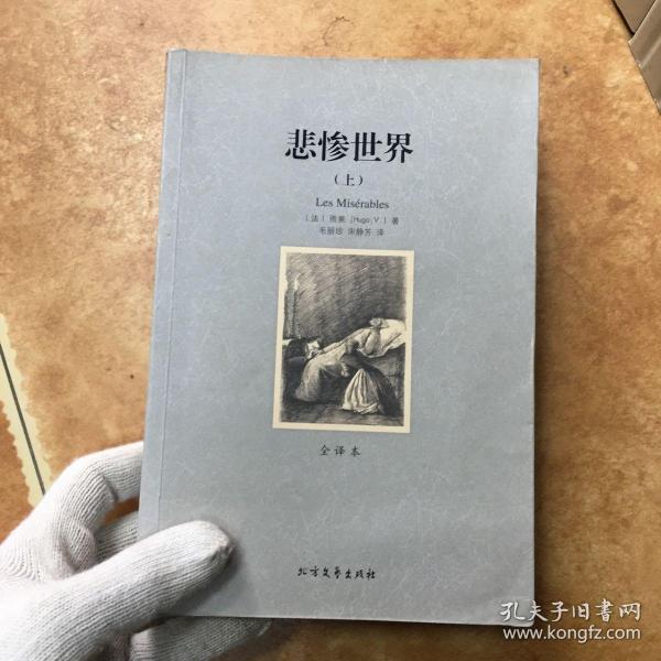 世界文学名著:悲惨世界(全译本)(套装共2册)