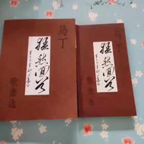 猛然回首----马丁歌曲选（歌曲集+光盘）