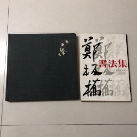 扬州八怪画集+郑板桥书法集