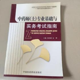 中药师（士）专业基础与实务考试指南