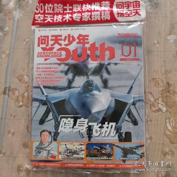 问天少年2023.1:隐身飞机(本期有随刊赠品:2张精美大海报+FC31战斗机拼插模型一个）