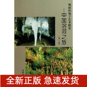 瑰麗的地下藝術(shù)殿堂/中國溶洞之旅(第2版)