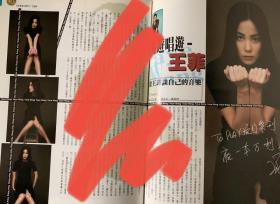王菲 内页访问报道
