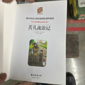苦儿流浪记