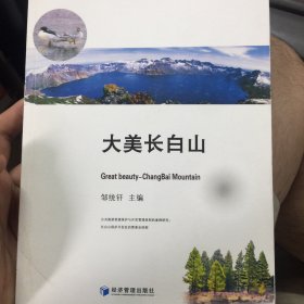 MTA经典案例丛书：大美长白山