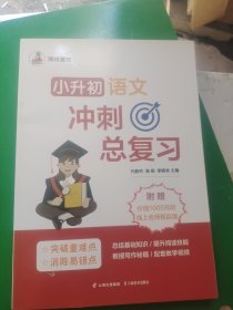 小升初语文冲刺总复习