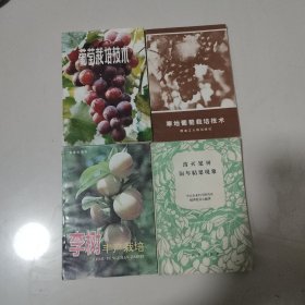 葡萄栽培技术＋寒地葡萄栽培技术＋李树丰产栽培＋果园施肥