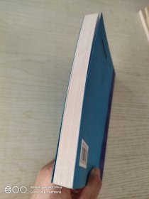 中国律师制度研究