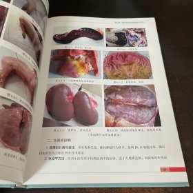 猪病类症鉴别与防控原色图谱
