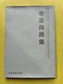 李志向画集