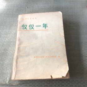 仅仅一年