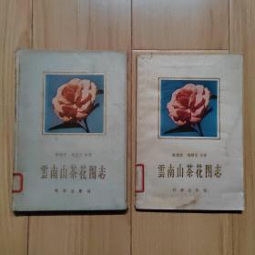 云南山茶花图志  精平装两本合售 1958年1版1印  印量1264册