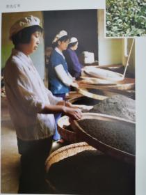 4张！茶与名茶广告