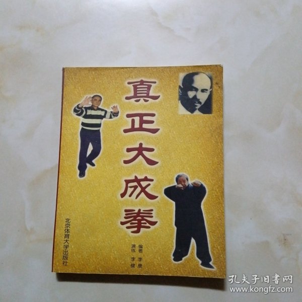 真正大成拳