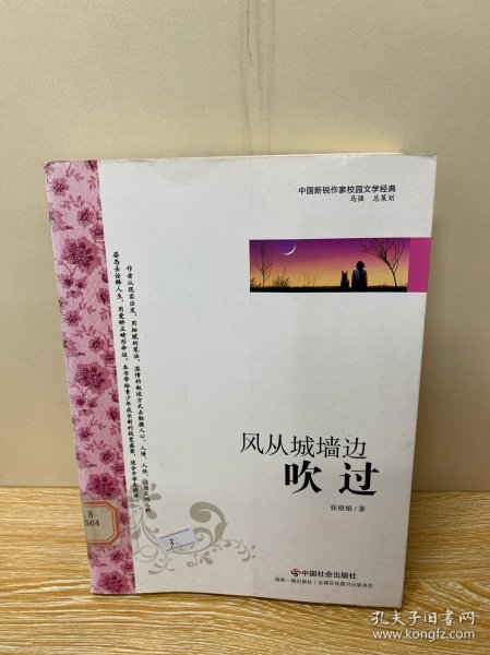 中国新锐作家校园文学经典：风从城墙边吹过