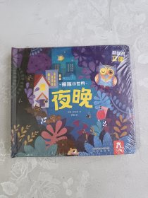 揭秘小世界 夜晚 立体书