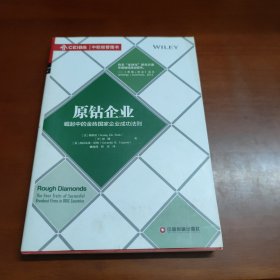 中欧经管图书·原钻企业：崛起中的金砖国家企业成功法则 44